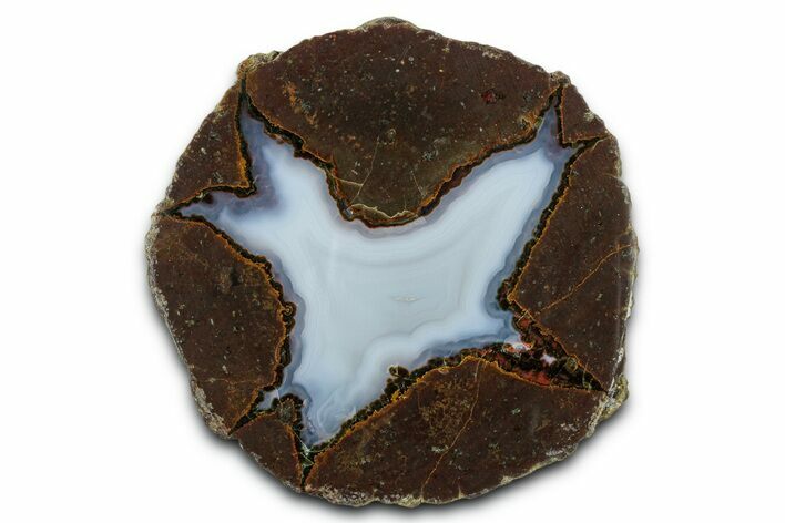 Colorful Polished Thunderegg Half - Nevada #337753